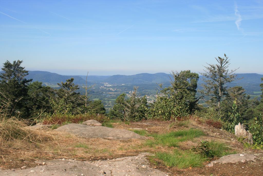 Village Vacances Cap France La Bolle Saint-Die-des-Vosges Luaran gambar
